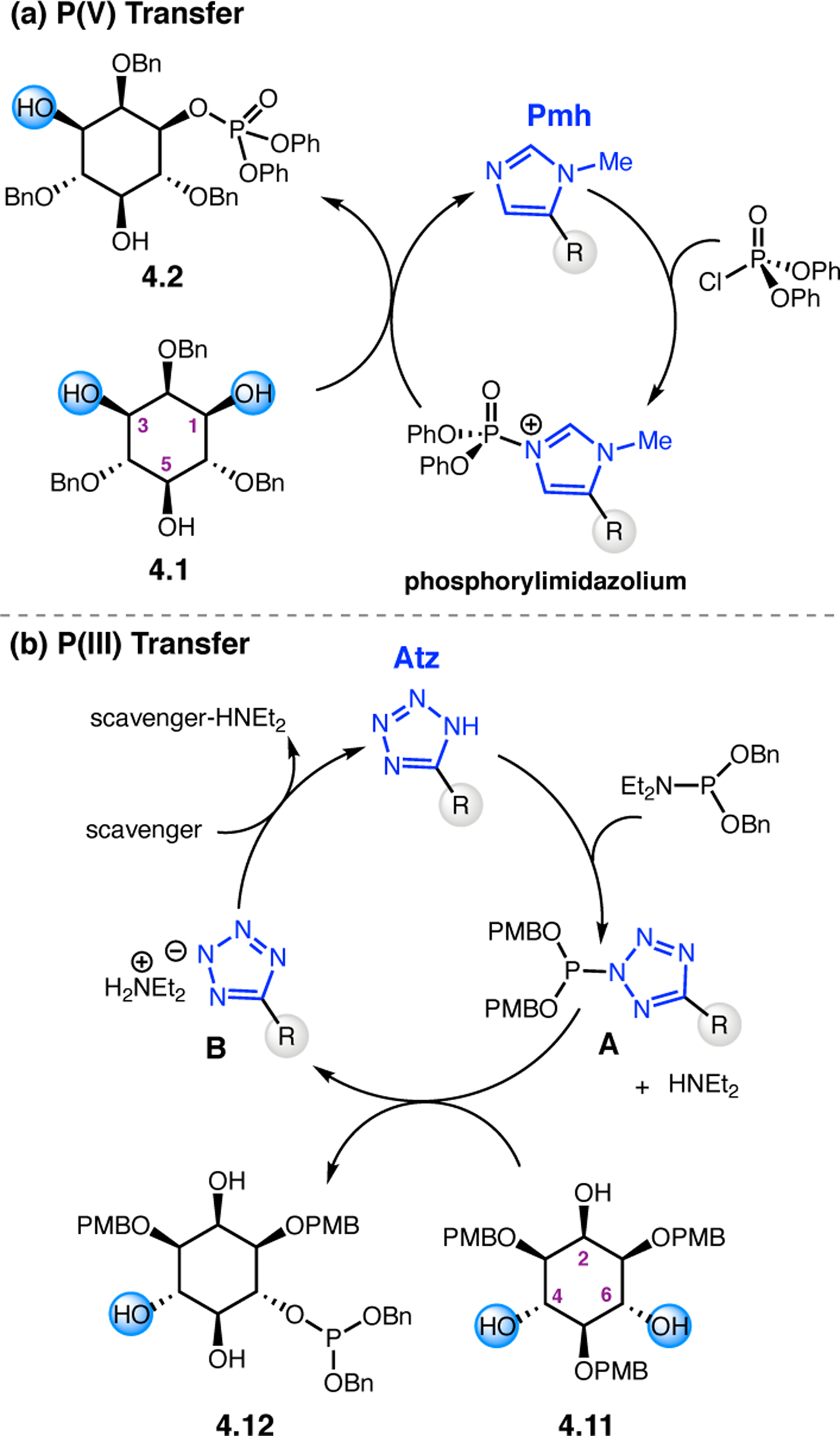 Figure 44.