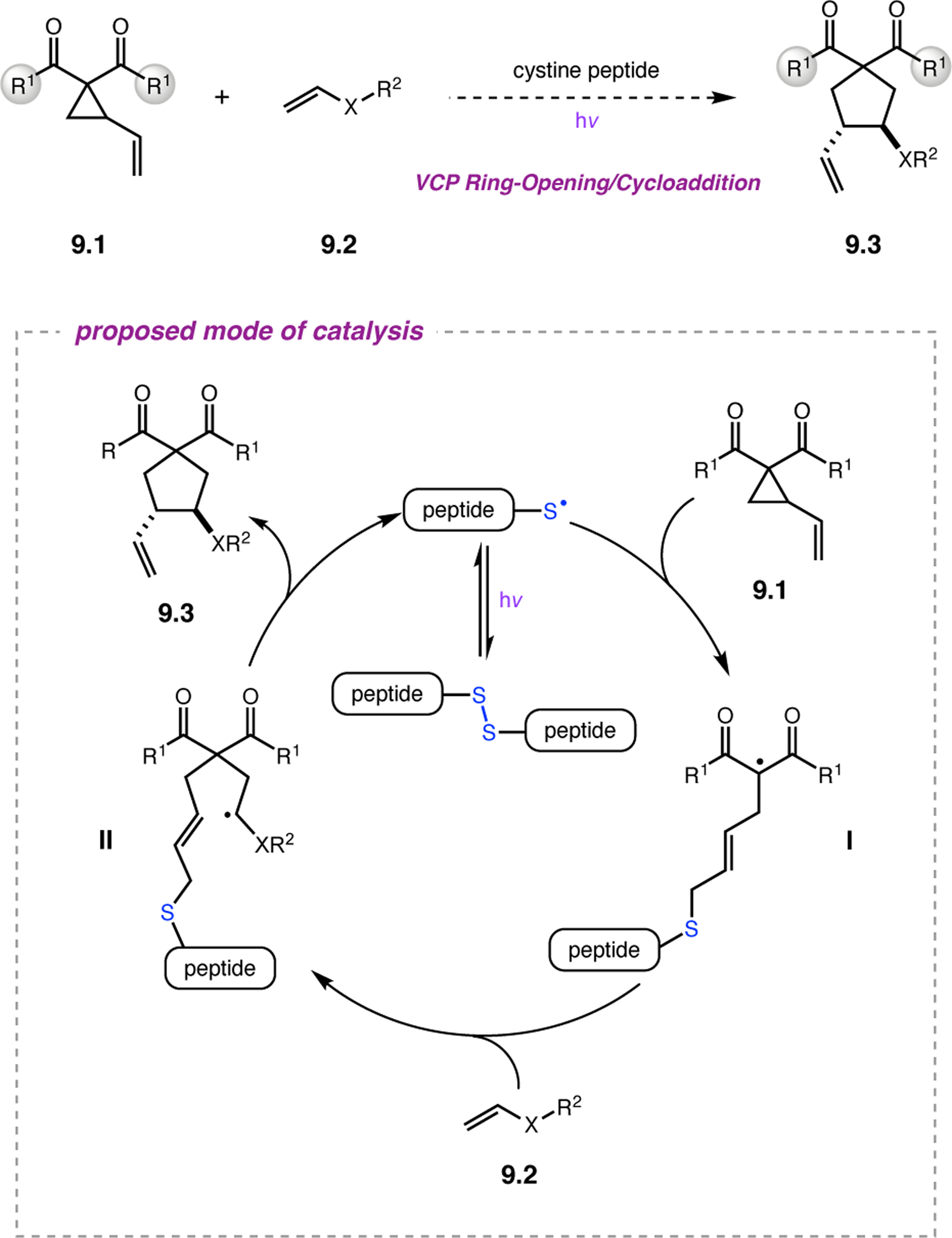 Figure 162.