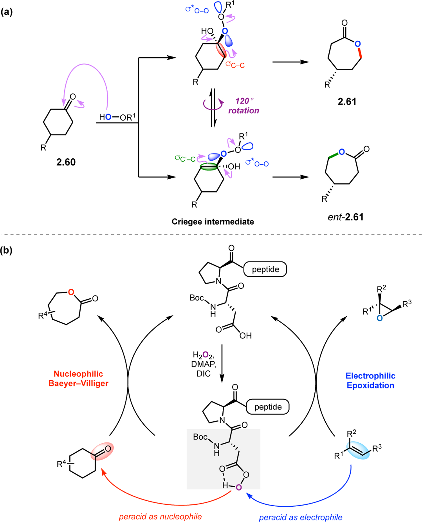 Figure 18.