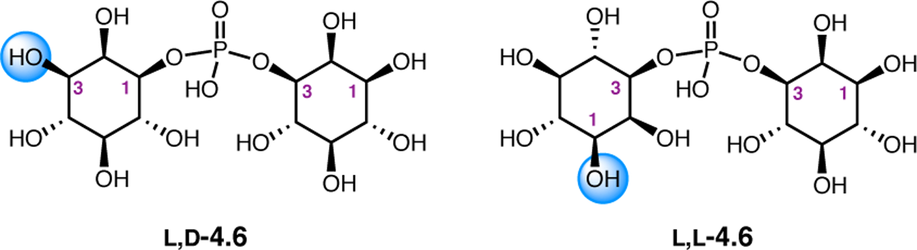 Figure 42.