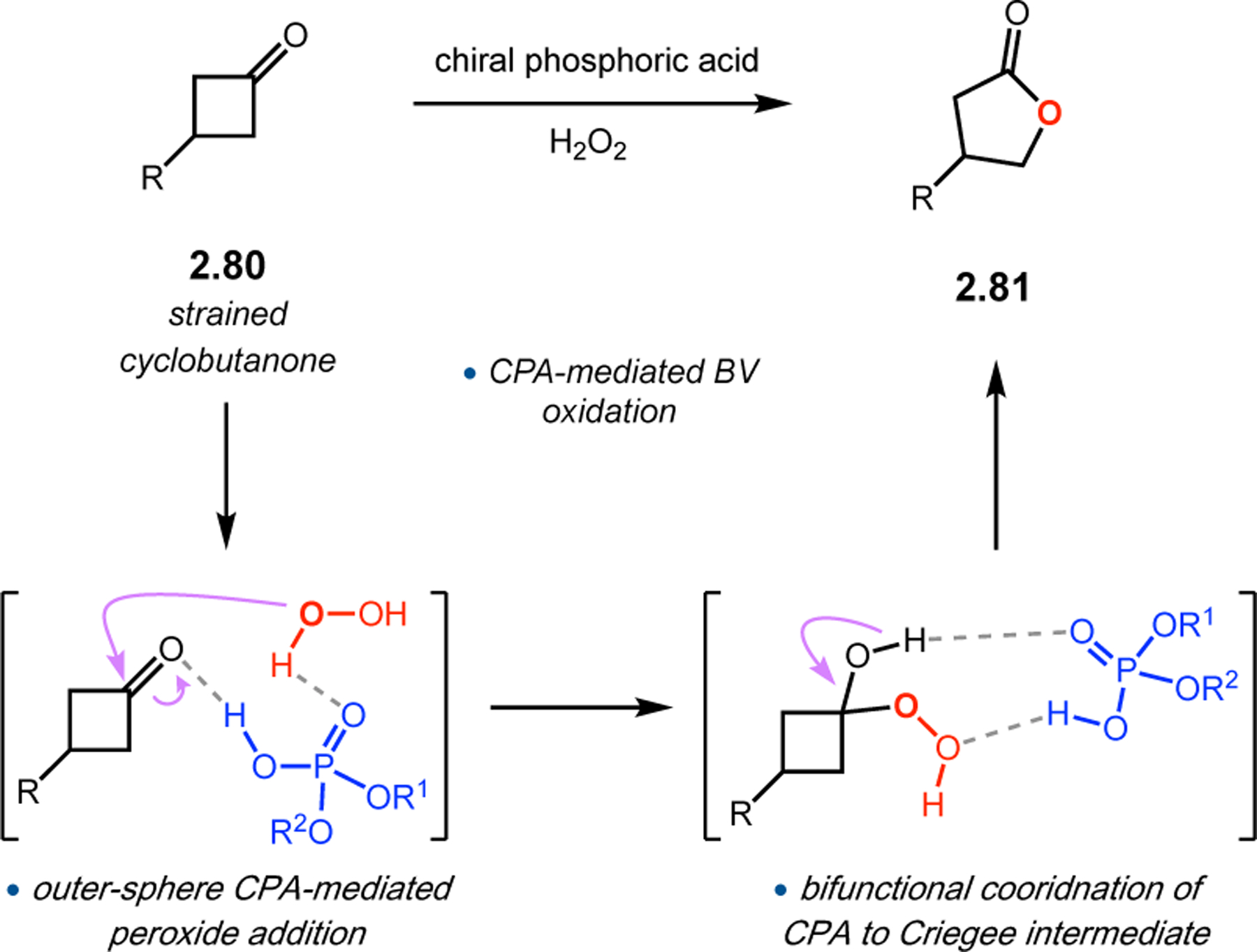 Figure 25.