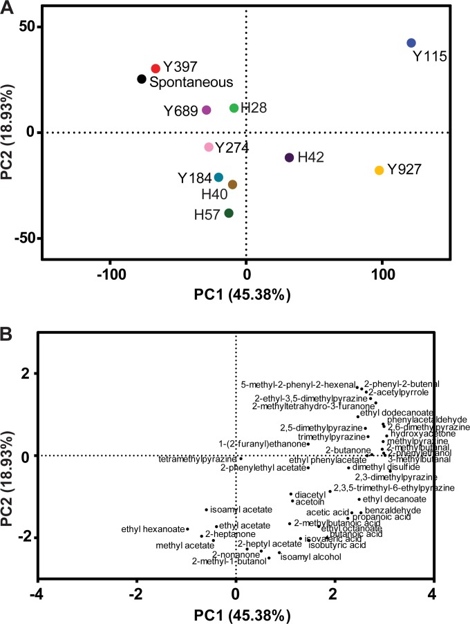 FIG 6