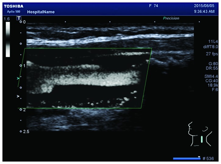 Figure 3.