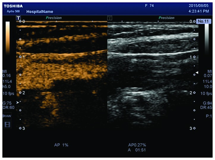 Figure 4.