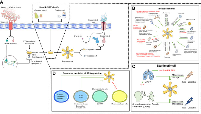 Figure 1