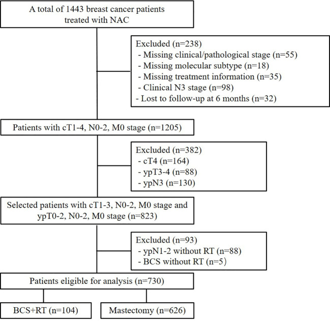 Figure 1