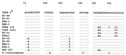 FIG. 6