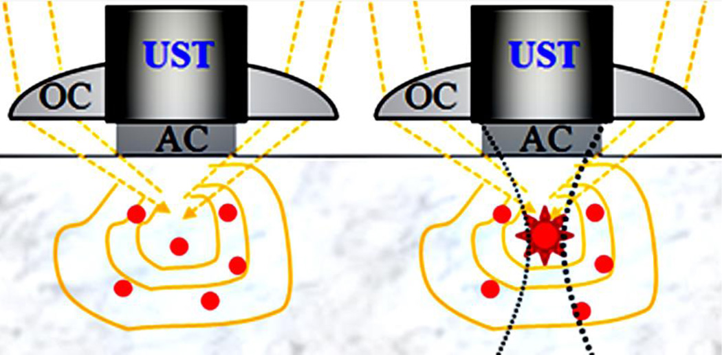 Fig. 2