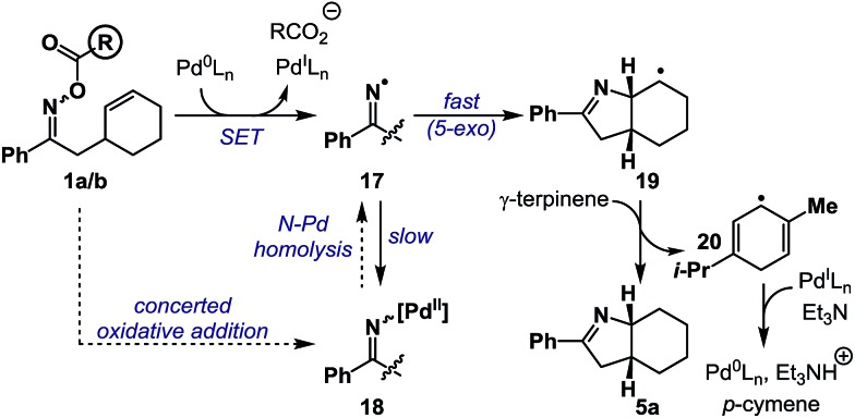 Scheme 5
