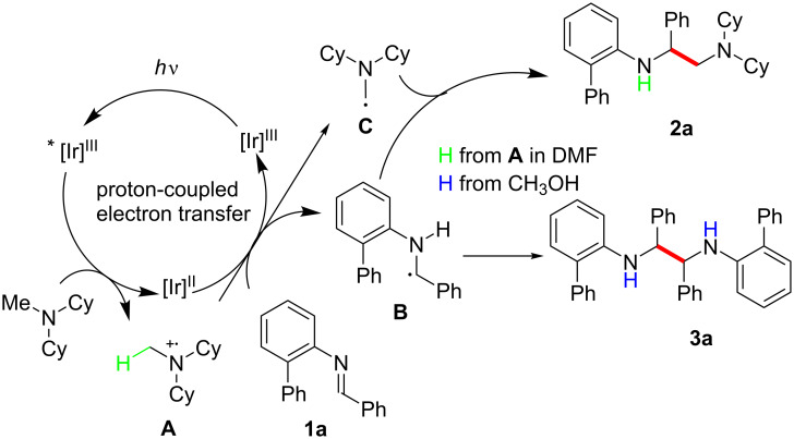 Scheme 5