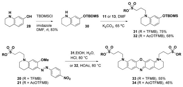 Scheme 6