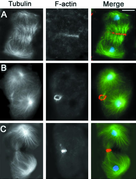 Figure 12.