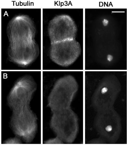 Figure 10.