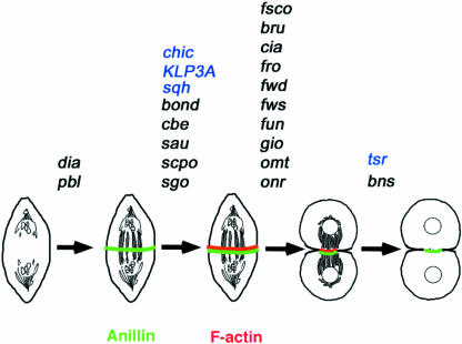 Figure 14.