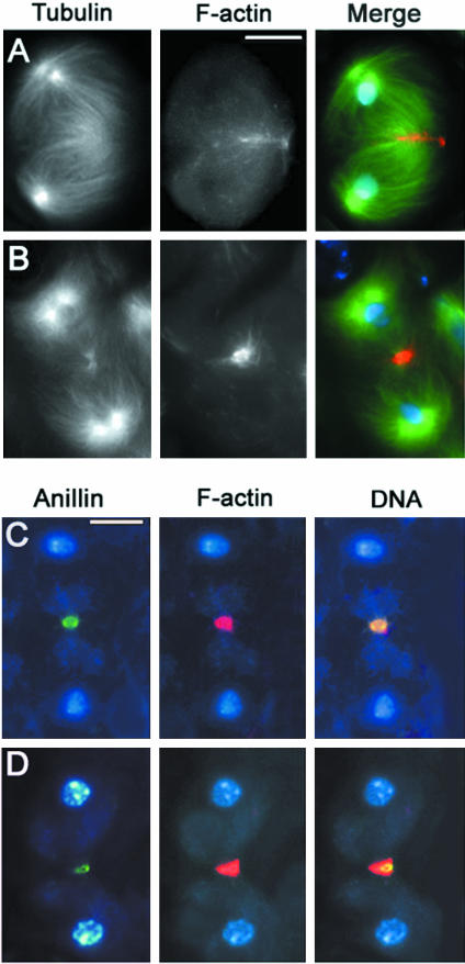 Figure 13.