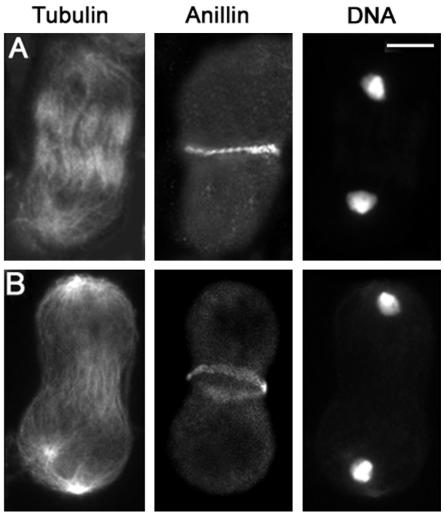 Figure 9.