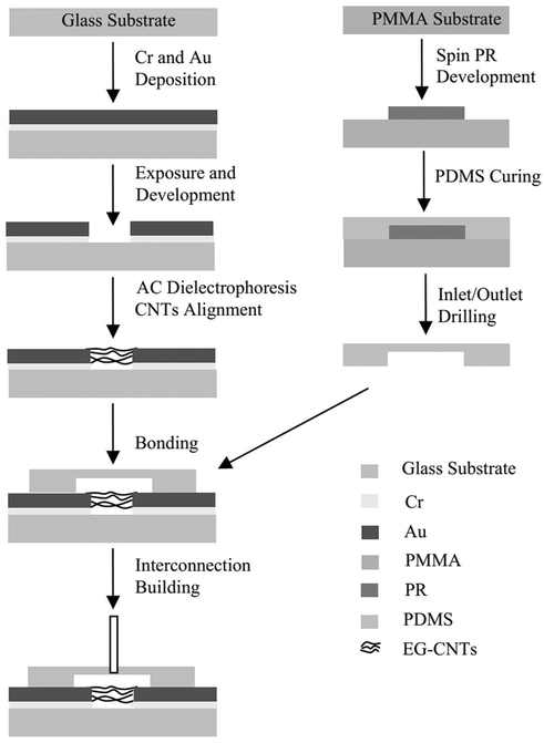 Fig. 5