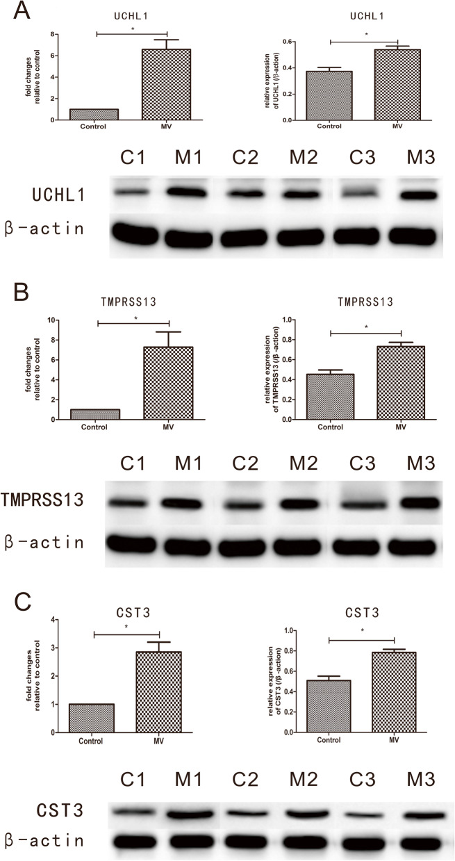 Fig. 9