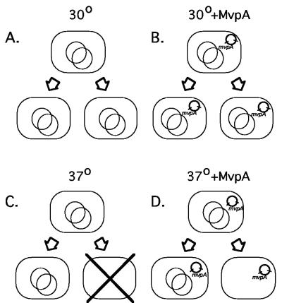 FIG. 5.