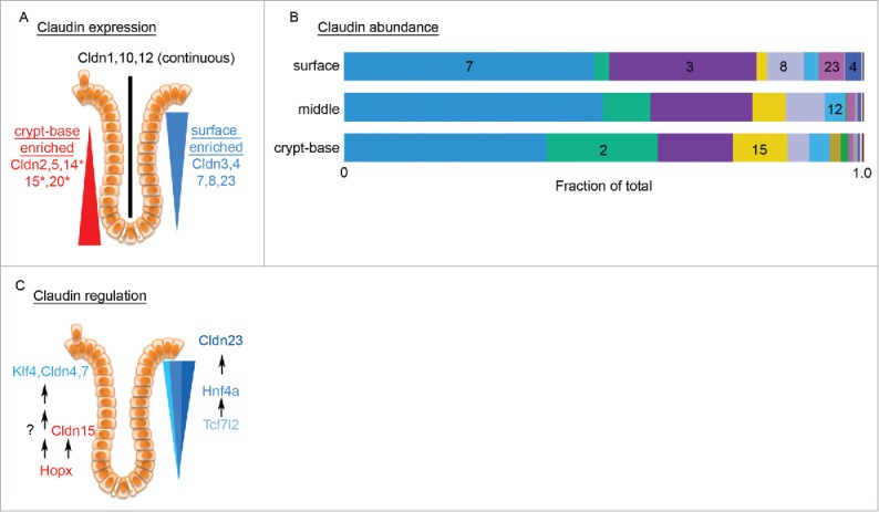 Figure 7.