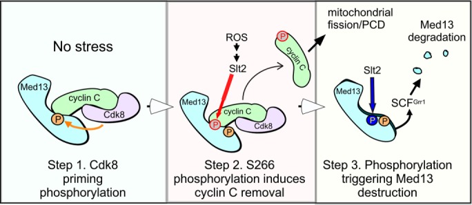 FIGURE 9: