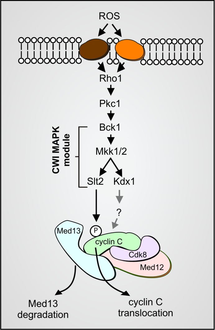 FIGURE 1: