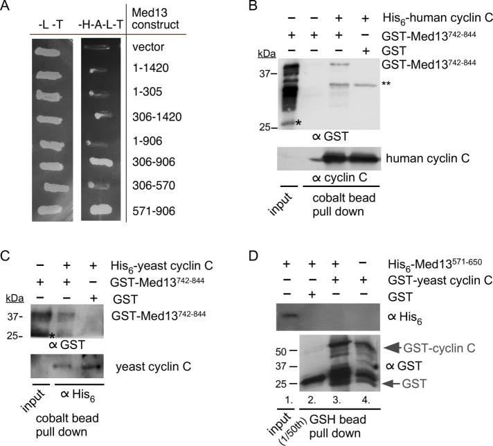 FIGURE 4: