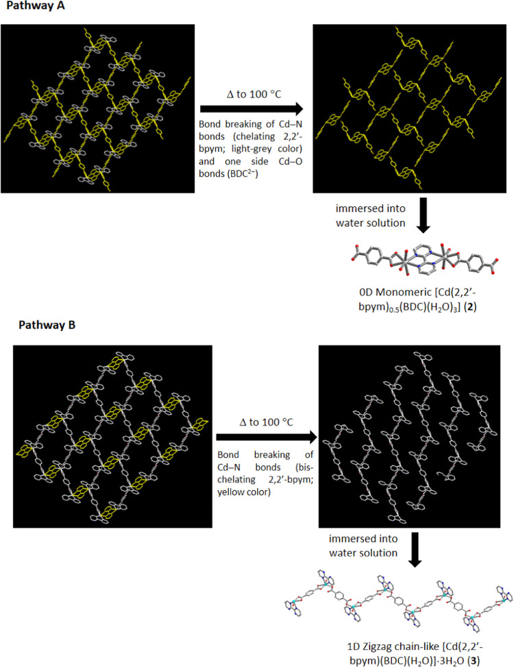 Scheme 2