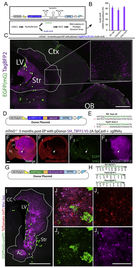 Figure 3: