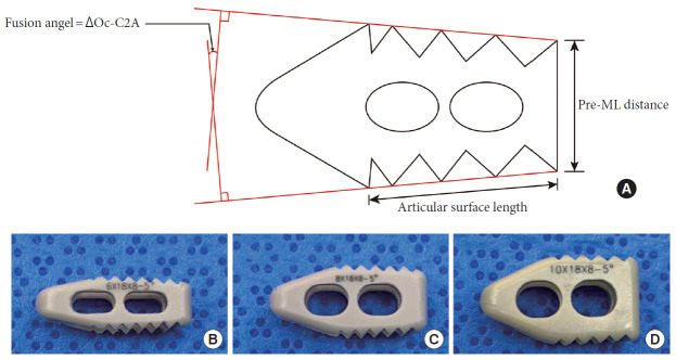 Fig. 1.