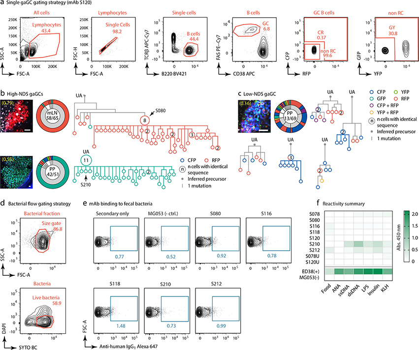 Extended Data Figure 2.