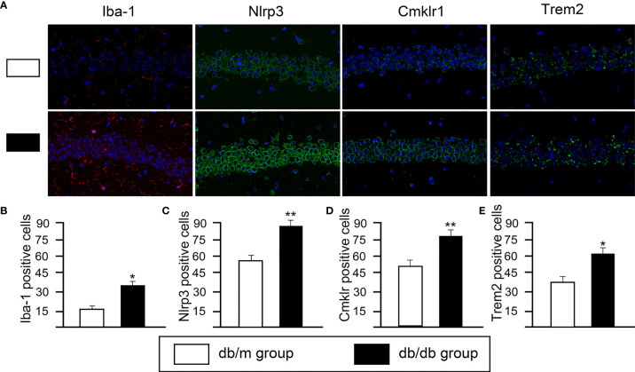 Figure 4