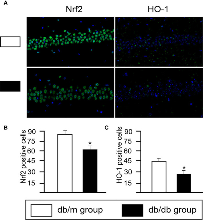 Figure 5