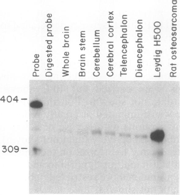 graphic file with name pnas01026-0129-d.jpg