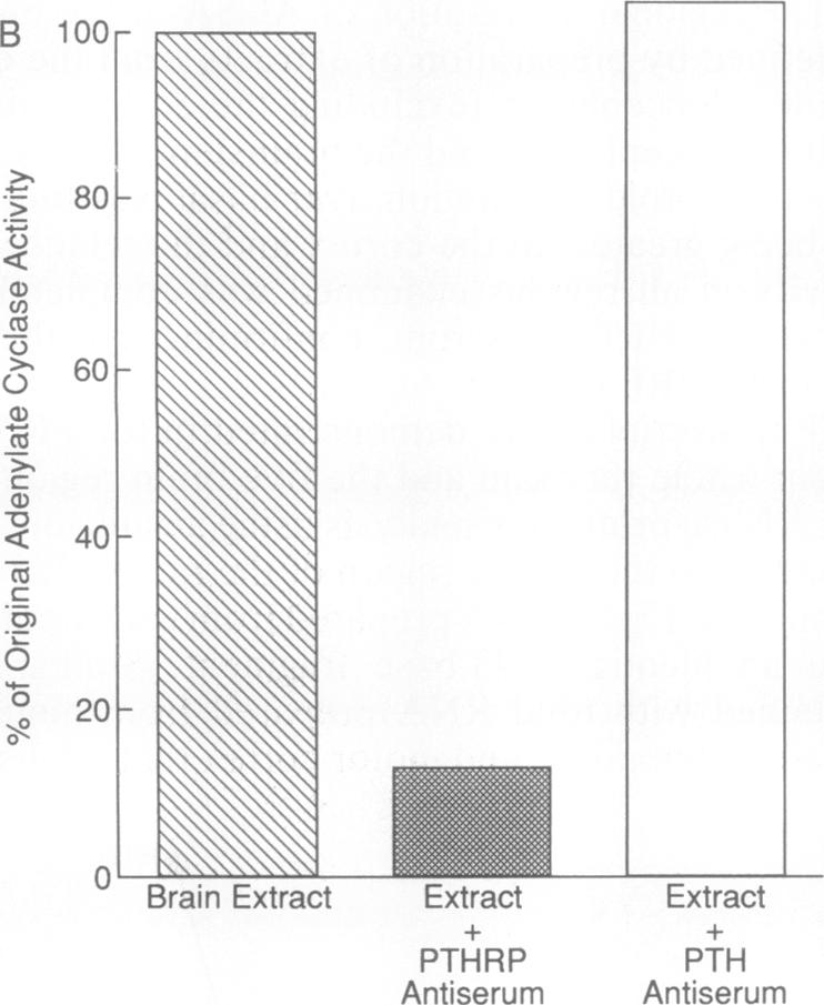 graphic file with name pnas01026-0129-c.jpg