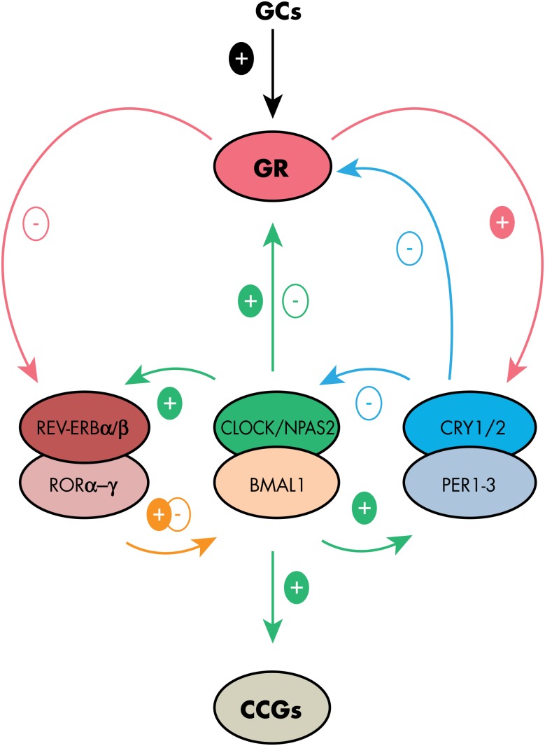 Figure 4.