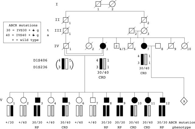 Figure 1  