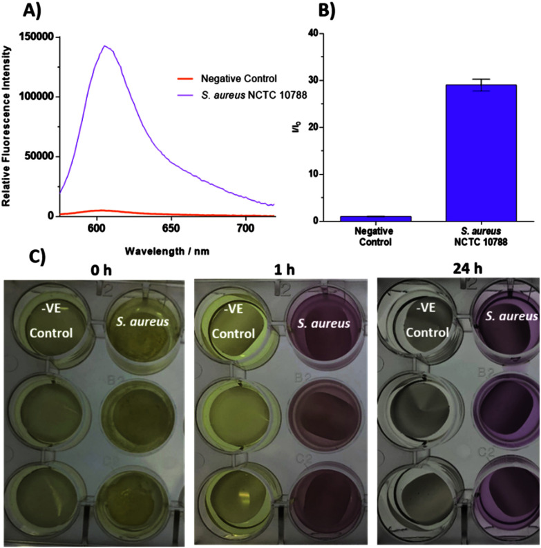 Fig. 4