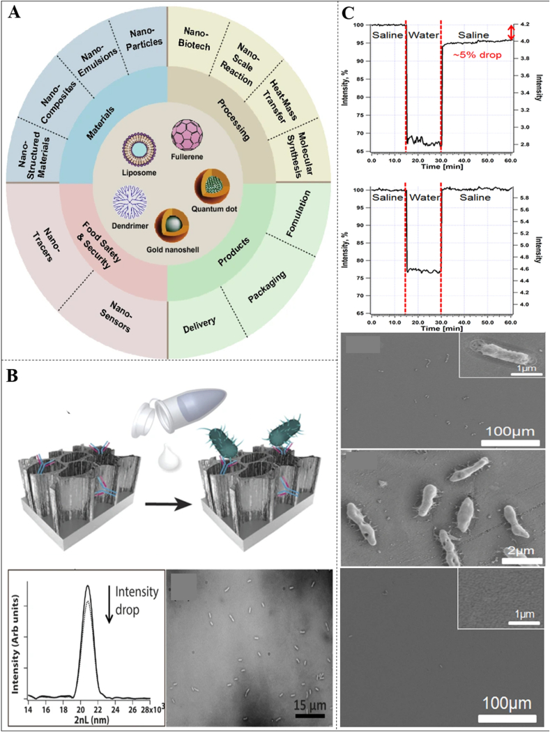 Fig. 7