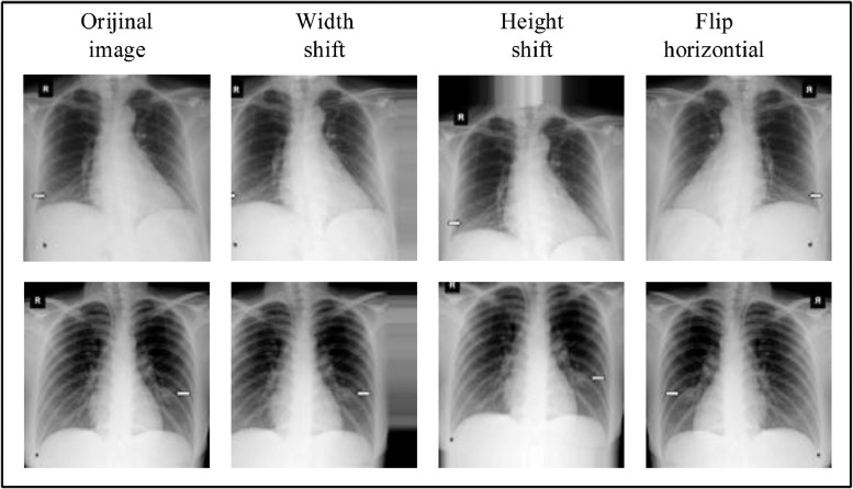 Fig. 5