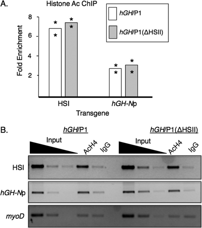 FIGURE 7.