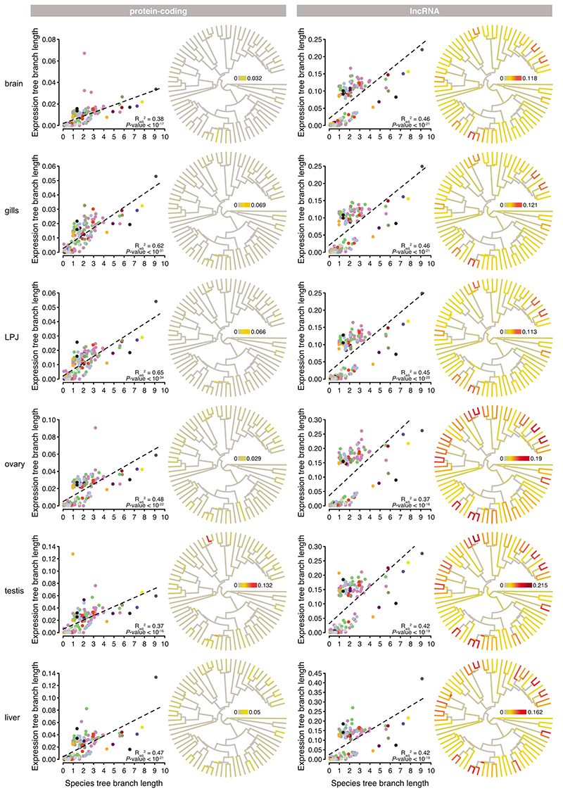 Extended Data Fig. 7