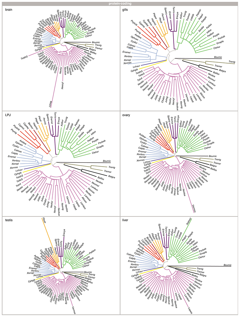 Extended Data Fig. 5