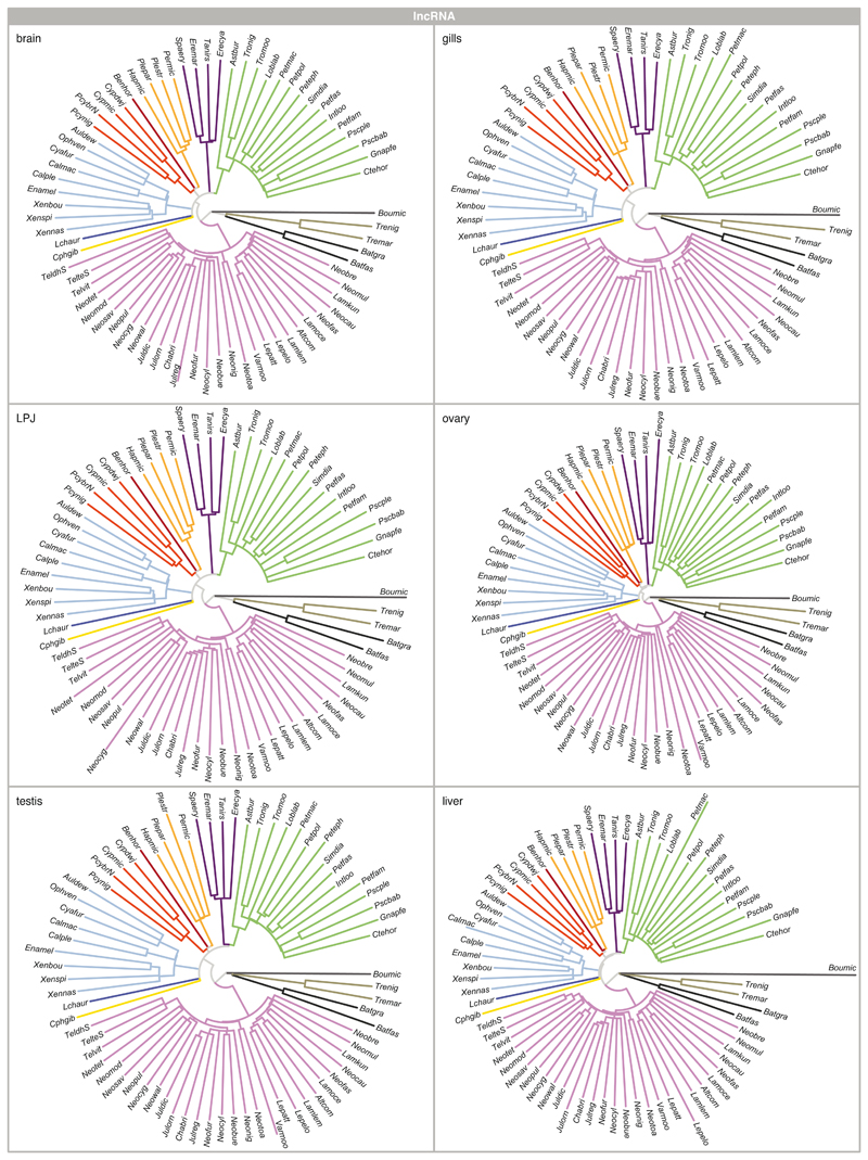 Extended Data Fig. 6