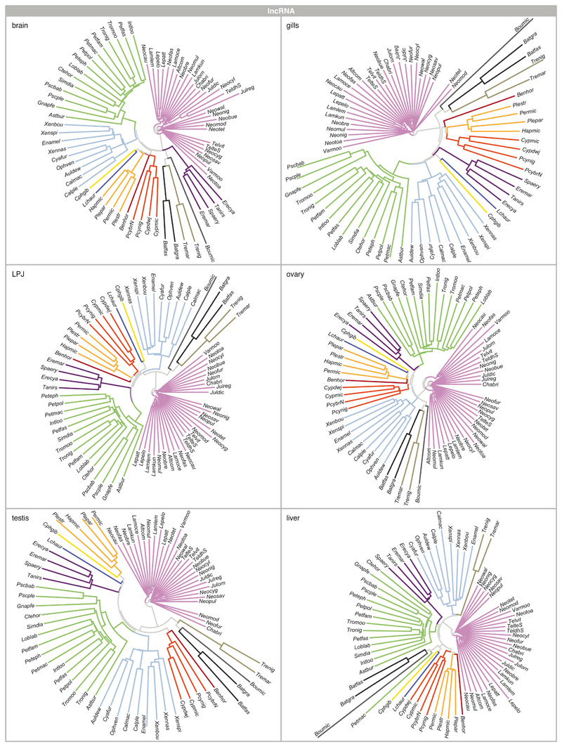 Extended Data Fig. 4