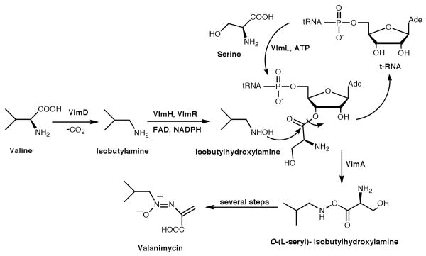 Scheme 1