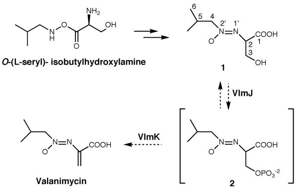 Scheme 2