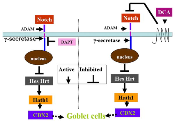 Fig 8