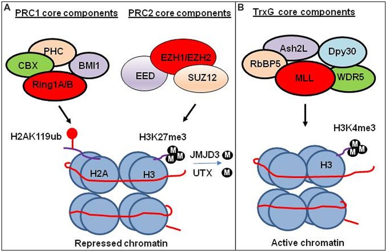 FIGURE 2