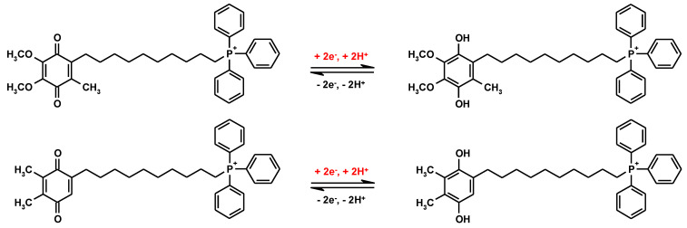 Scheme 3